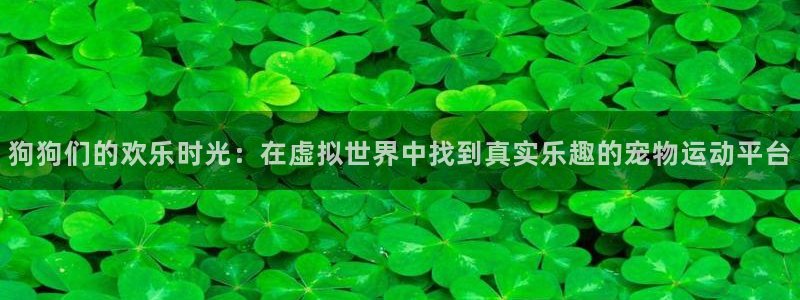 88看球在线直播：狗狗们的欢乐时光：在虚拟世界中找到真实乐趣的宠物运动平台