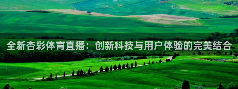 nba直播在线观看88看球：全新杏彩体育直播：创新科技与用户体验的完美结合