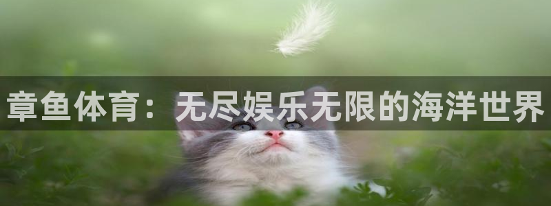 88看球直播入口：章鱼体育：无尽娱乐无限的海洋世界