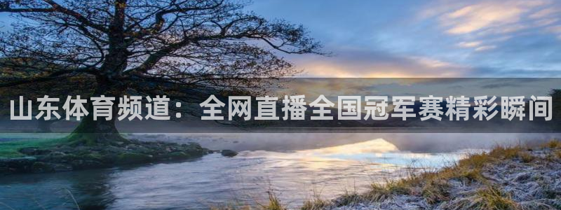 88看球nba免费直播官网：山东体育频道：全网直播全国冠军赛精彩瞬间