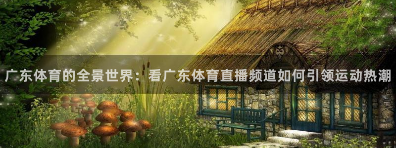 88看球网免费nba直播吧：广东体育的全景世界：看广东体育直播频道如何引领运动热潮